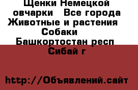 Щенки Немецкой овчарки - Все города Животные и растения » Собаки   . Башкортостан респ.,Сибай г.